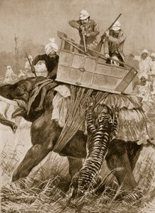 La visite du prince de Galles en Inde, 1876 : L